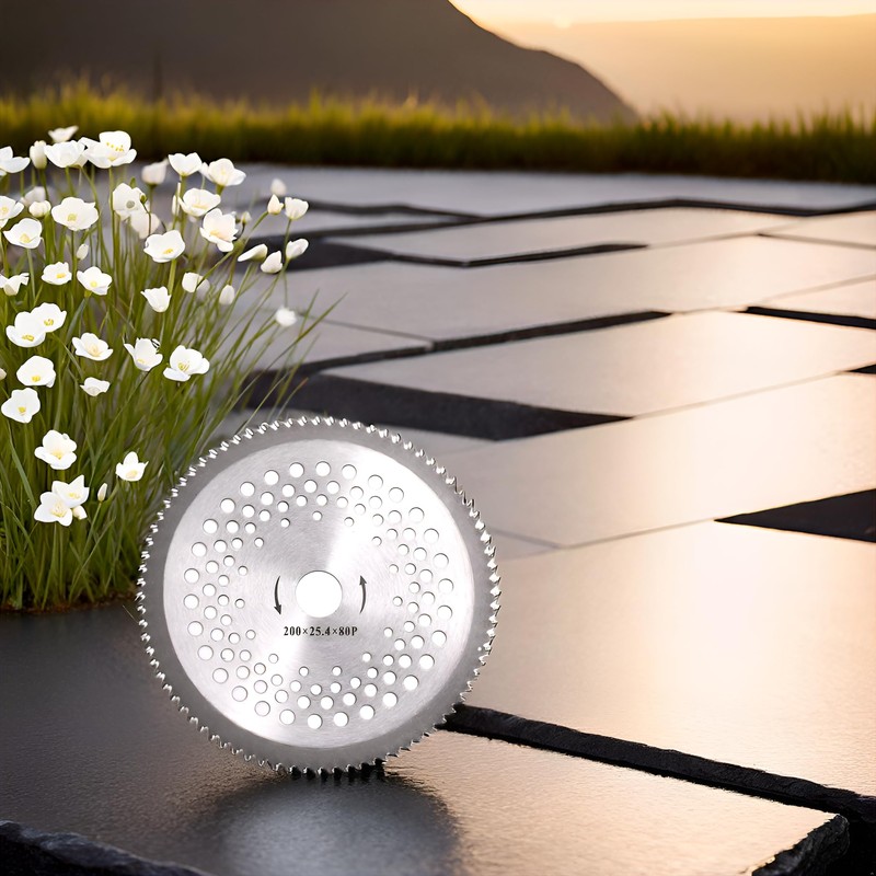 BlueNatHxRPR 8 Inch 80T Carbide Tip Blade with Washer Adapter