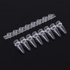0.2ml PCR Tubes Strips with Flat Caps (8-Tube Strips, 200