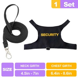 ZeriLion Bearded Dragon Harness & Leash Kit, Escape-Proof Adjustable Lizard Lead for Walking, Fun Costume Accessory