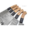 SHINY CRAFTS | Handmade Damascus Kitchen Knife Set with Camel
