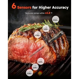 Termómetro inteligente inalámbrico Bluetooth para carne, base independiente, 6 sensores de precisión, termómetro de lectura instantánea para alimentos
