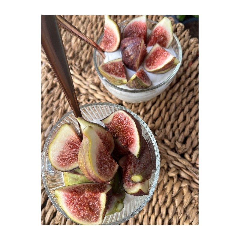 Pigriff Fiber Space Perfume 200ml [Crushed leaves and fig pulp