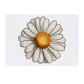 Azeeda 'Gänseblümchen' Temporäres Tattoo - Hautfreundlicher & Ungiftiger Abziehbild · Wasserfest (TO00044368)