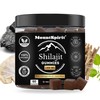 MountSpirit Pure Organic Himalayan Shilajit Gummies with Lion's Mane Mushroom