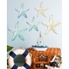 Putuo Decor Coastal Nautical Starfish Wall Art Set of 5
