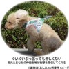 Doggie Man Osototan Ken Wear Harness S Yorimichi