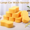 Tioncy 8 Pcs Giant Bone Sponge Bulk 9 x 4.7