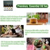 Essential Oils Set-Essential Oils- Perfect for Diffuser,Candle Making,Soap Making -Eucalyptus,