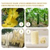 4 Pcs Natural Loofah Sponge,Organic Exfoliating Loofah,Suitable for Men and