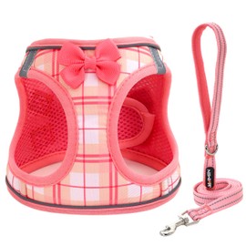 JdotMIN Plaid Step-in Dog Harness and Leash Set, for Small Medium Dog and Cat Vest Harness No Pull, Escape Proof, for Walking Puppy and Kitten, for Travel and Car, Harnais Pour Chien (Pink, M)