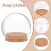 PH PandaHall Glass Dome with Base Glass Cloche Globe Display