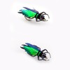 YAZHIDA Fly Fishing Flies, Simulated Insects (Winged Beetle)