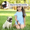 3 Pieces Dog Collar Reflective Dog Collar Nylon Dog Collar