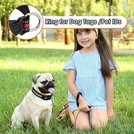3 Pieces Dog Collar Reflective Dog Collar Nylon Dog Collar Adjustable Dog Collars Quick Release Dog Collar Pet Collars for Dogs                       