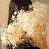 4000+ Dried Babys Breath Flowers Bulk - 17" Ivory White