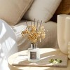 Airkeep Reed Diffuser Set,3.38 fl oz (100 ml) - Clean