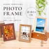 FRAME SHIROYAMA 6354 Air Frame, L Size, Black, Resin Frame,
