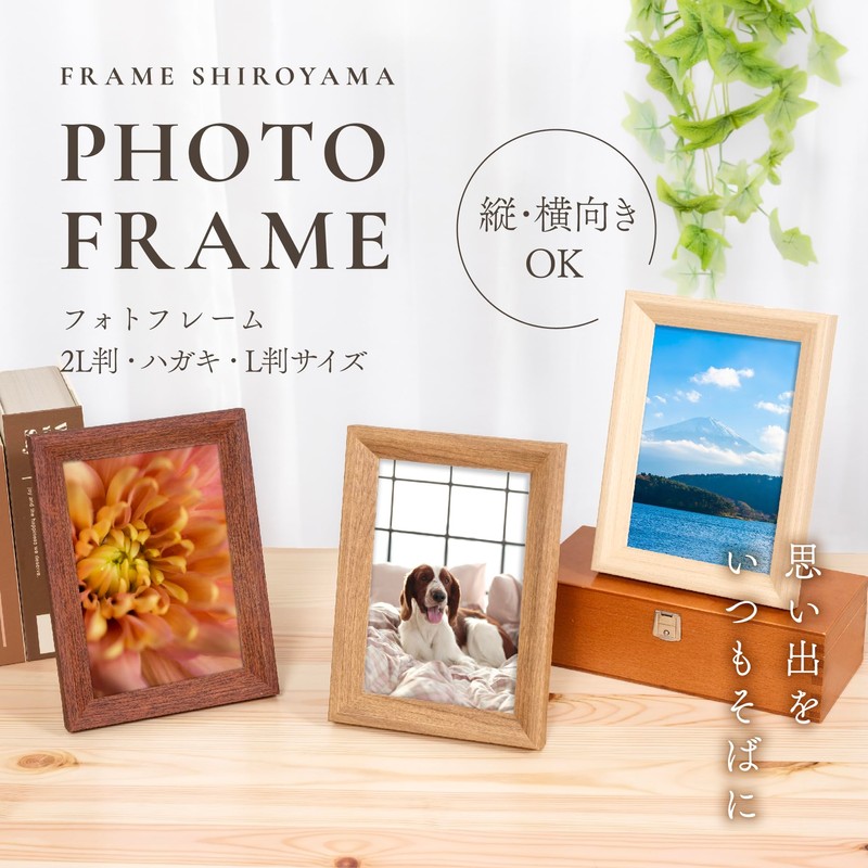 FRAME SHIROYAMA 6354 Air Frame, L Size, Black, Resin Frame,