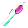 Bisda 2-Piece Stainless Steel 18 10 Serving Spoon (Rainbow)