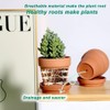 vensovo 3 inch Terracotta Clay Pots for Plants with Saucer