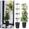 Garland Self Watering Grow Pot Tower - Anthracite