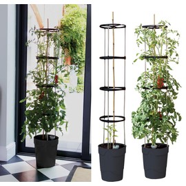 Garland Self Watering Grow Pot Tower - Anthracite