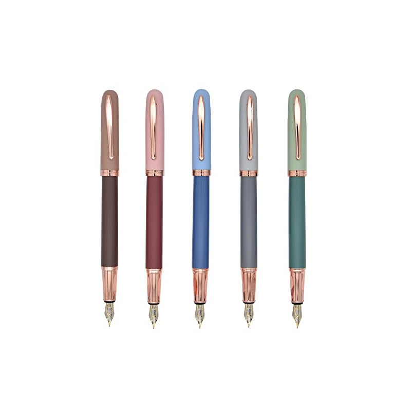 Juego de 5 plumas estilográficas, diseño clásico con convertidor, puntas