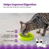 Catstages Kitty Slow Feeder Bowl for Cats & Small Dogs,