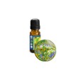 Chypre Absolute Essential Oil - 10 ml, 1/3 oz