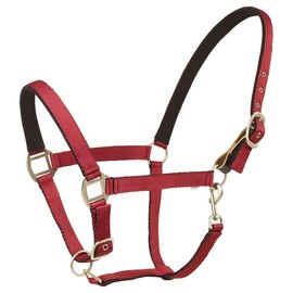 centaur Solid Cushion Padded Breakaway Halter (Burgundy, Horse)