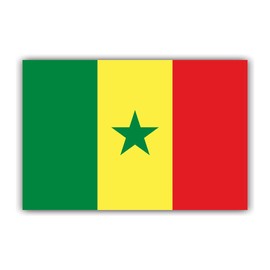 Womaha 30 Sheets Senegal Temporary Tattoos for Kids Football Temporary Face Tattoos