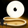 iNextStation LED Strip Lights Warm White, 12V 16.4ft 5m Neon
