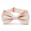 (fo-tyunatoukyou) Fortuna Tokyo 12. Horizon Bow Tie (Pocket Square with)