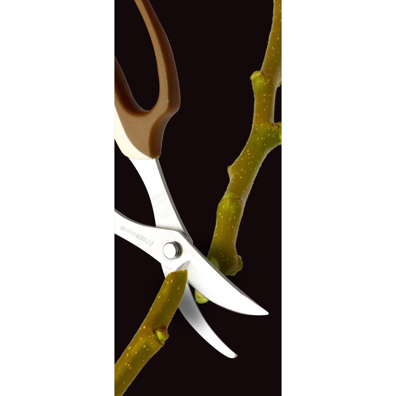 Takagi Stainless Steel Flower Pruning Scissors With Main Blade 6.5