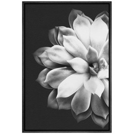 SIGNWIN Framed Canvas Print Wall Art Black & White Desert Rose Succulent on Dark Background Floral Plants Photography Minimalism Southwest for Living Room, Bedroom, Office - 16"x24" Black