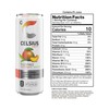 CELSIUS CELSIUS Peach Mango Green Tea, Functional Essential Energy Drink
