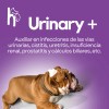 Suplemento Urinary + Para Perros Y Gatos 100 Pastillas