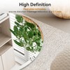 KOHROS Frameless Round Bathroom Mirror for Over Sink 24" x
