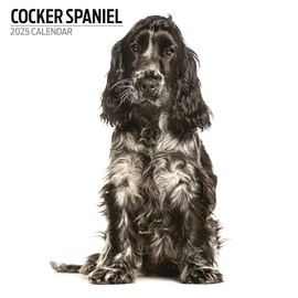 Cocker Spaniel Calendar 2025 Modern