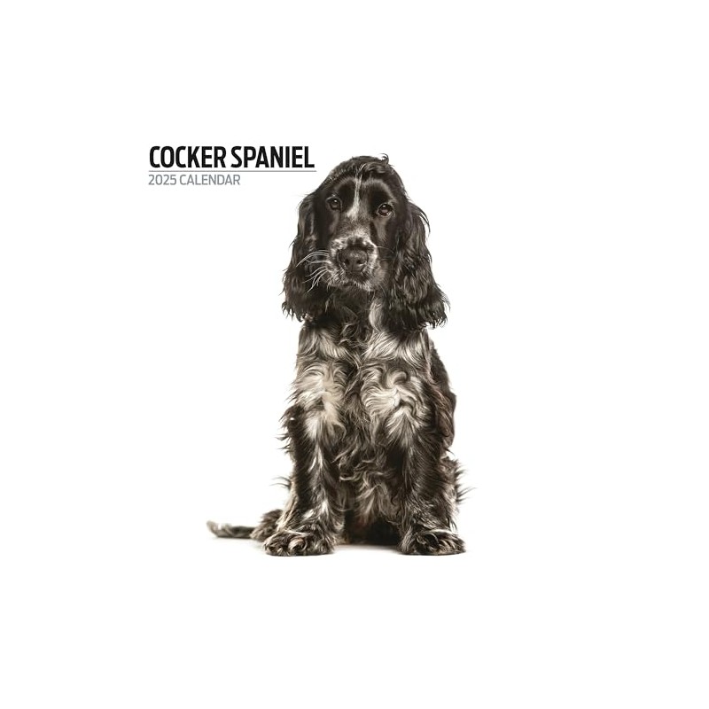 Cocker Spaniel Calendar 2025 Modern
