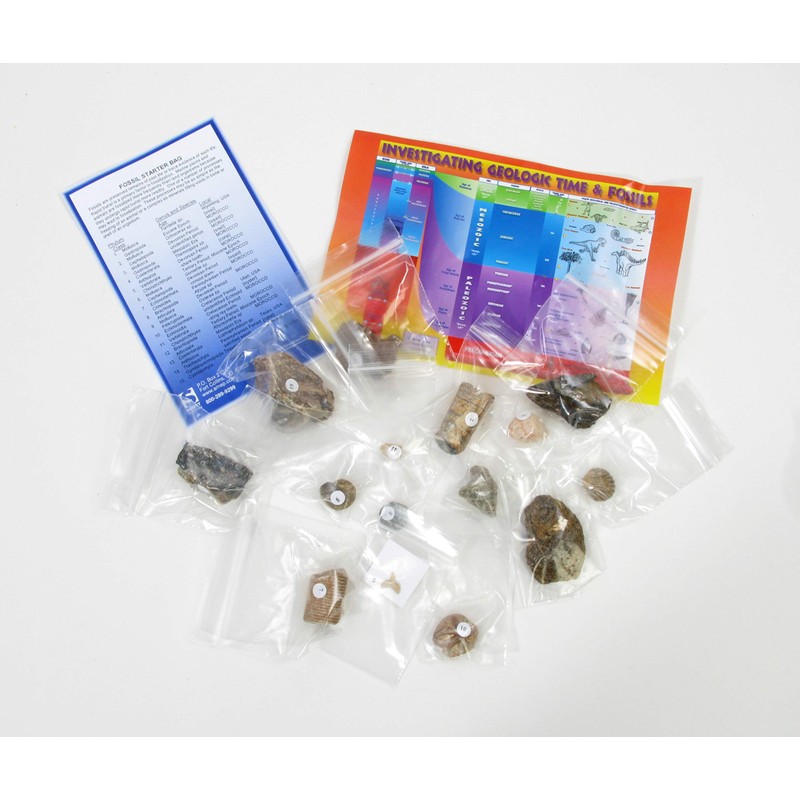 American Educational 3005B Fossil Starter Bag