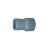 Lasco Insert Adapter 3/4 " X 1 " Pvc