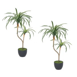 2 Pack 25.5" Artificial Dracaena | Real Touch Dragon Tree, Perfect for Indoor and Outdoor décor