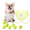 ZIYIZE Mini Tennis Balls, 6 Pack 2 inch Dog Tennis