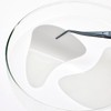 Carenology [Careology] Return Perfect Anti-Aging Under Eye Patch 8 servings/PDRN/Ampoule