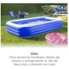Piscina Familiar Inflable De 3 Metros Para Niños Y Adultos