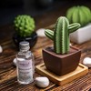 Lively Breeze Maxi Cactus, Non-Electric Ceramic Diffusers for Essential Oils