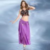 Women's Chiffon Belly Dance Costume Skirts Indian Dance Skirt with