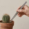 May – Terrarium Tweezers 20 cm Stainless Steel Feeding Tweezers