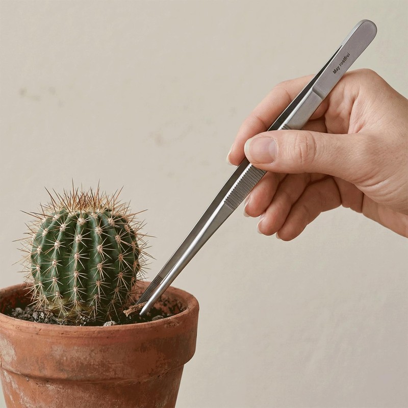 May – Terrarium Tweezers 20 cm Stainless Steel Feeding Tweezers